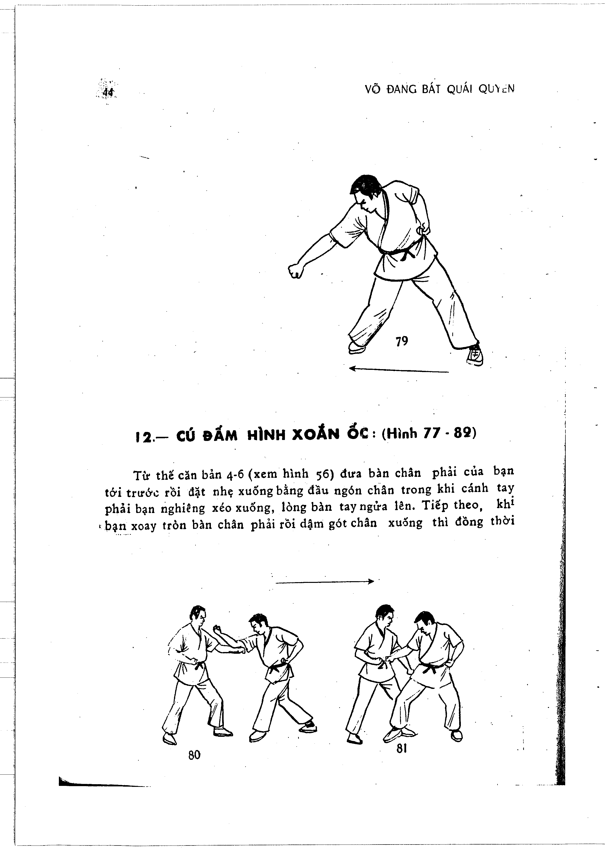Hinh anh trang 48