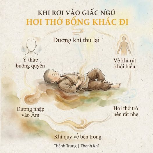 MÌNH ĐỂ Ý THẤY RẰNG: KHI VỪA RƠI VÀO GIẤC NGỦ, — HƠI THỞ KHÔNG CÒN GIỐNG NHƯ BÌNH THƯỜNG NỮA — Không phải lúc đã ngủ say. — Mà là khoảnh khắc rất mỏng: — ▪︎ Mắt đã khép — ▪︎ Thân đã thả — ▪︎ Nhưng ý thức vẫn còn đó — Và đúng lúc ấy, mình chợt nhận ra: — hơi thở bỗng khác đi.