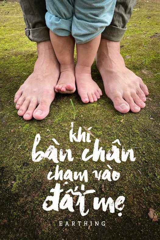 10 ĐIỀU DIỄN RA — KHI BÀN CHÂN CHẠM ĐẤT — Theo Hoàng Đế Nội Kinh, — chân là gốc của Thận – đất là gốc của khí. — Khi bàn chân chạm đất, cơ thể tự kích hoạt một chuỗi “tự chữa lành” mà không viên thuốc nào làm thay. — 1. Trung hòa điện tích dư thừa — Cơ thể hiện đại tích đầy “điện dương” từ màn hình. Chạm đất giúp xả nhanh, dịu bứt rứt – bớt cáu vô cớ. — 2. Mở “cửa nạp khí” Dũng Tuyền — Huyệt Dũng Tuyền ở lòng bàn chân mở ra, hút khí mát của đất – nguồn nhiên liệu thô mà mạnh.
